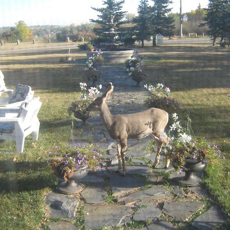 Wakamow Heights Bed And Breakfast มูส จอว์ ภายนอก รูปภาพ