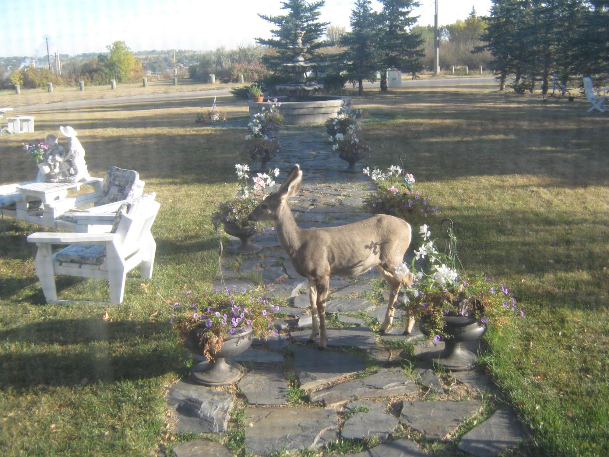 Wakamow Heights Bed And Breakfast มูส จอว์ ภายนอก รูปภาพ